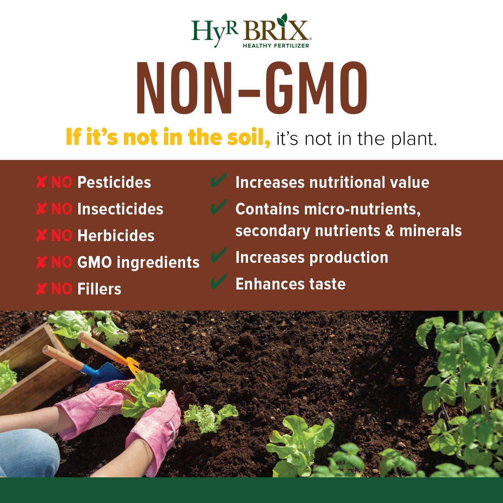 HyR BRIX All Natural & Organic 1-1-8 Vegetable Garden Fertilizer, 5lb Bucket