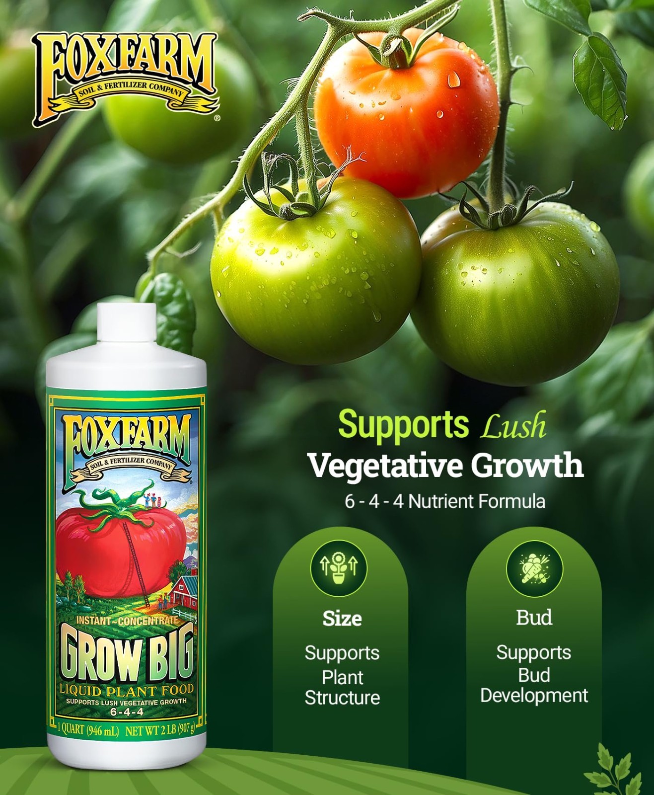 Liquid Plant Fertilizer 6-4-4 for Houseplants, Roses & Veggies – Quart Concentra