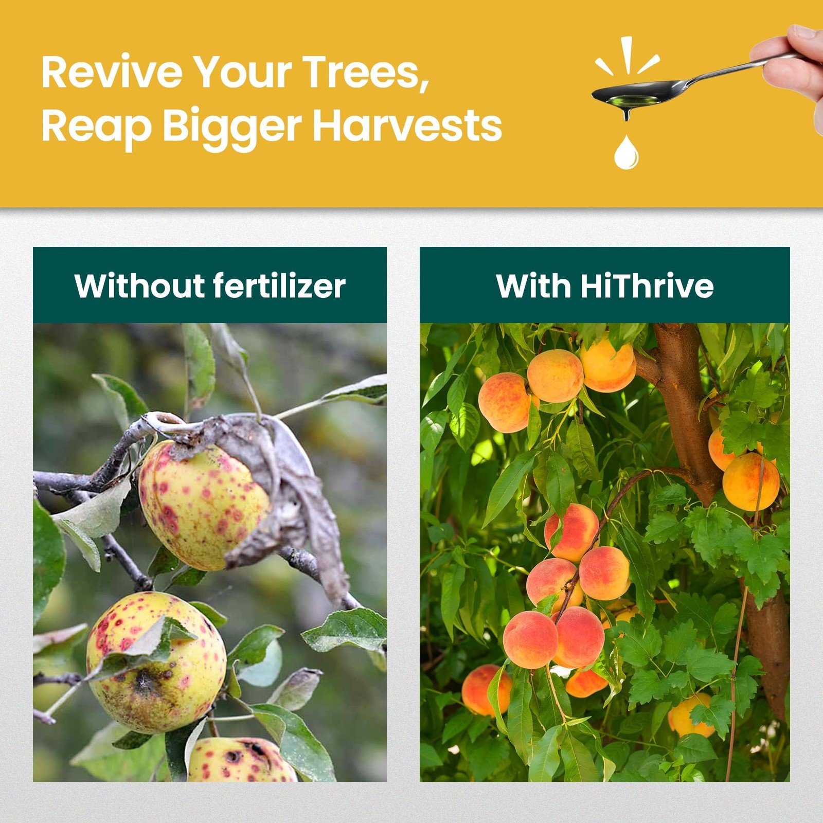 16oz Fruit Tree Fertilizer – Makes 16 Gallons of Fruit Tree Spray Plant Ferti…
