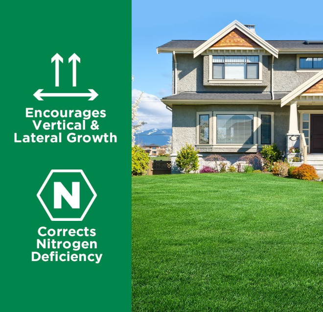 Maximum Green & Growth Fertilizer High Nitrogen 28-0-0 Liquid Lawn Food Spray Sp