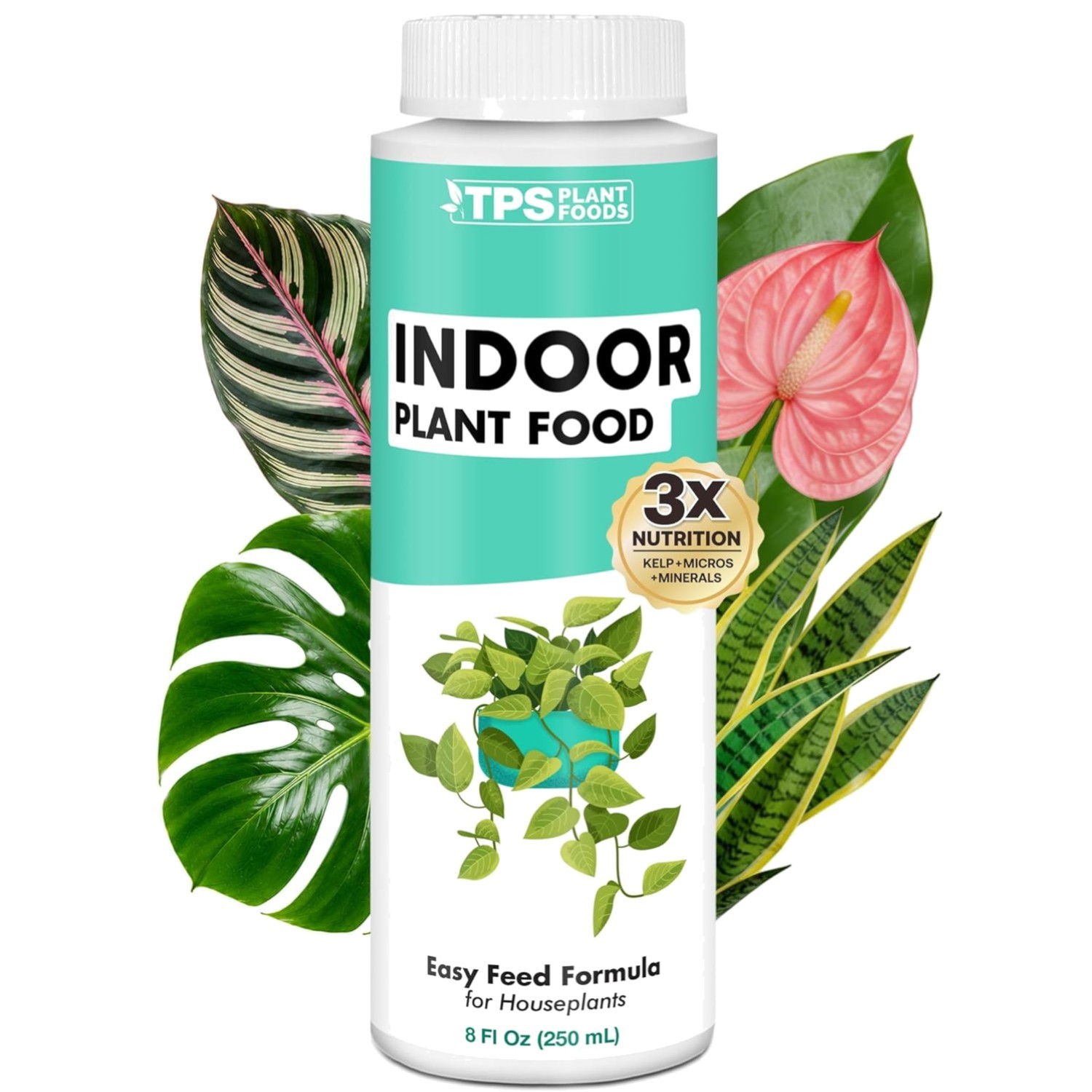 Indoor Plant Food Liquid Fertilizer 8oz for Houseplants