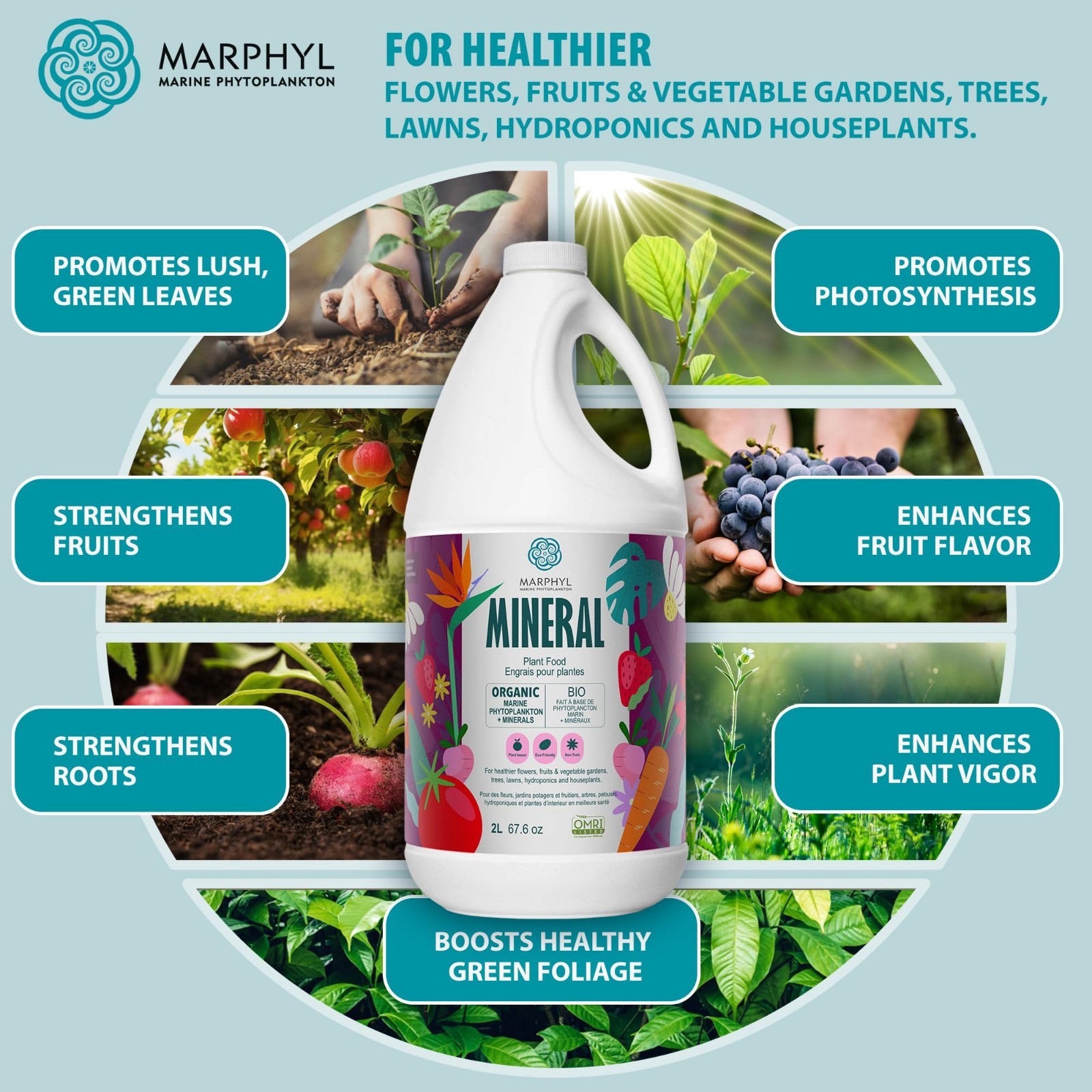Organic Liquid Fertilizer – Essential Trace Minerals for Healthy Plants, Flowers