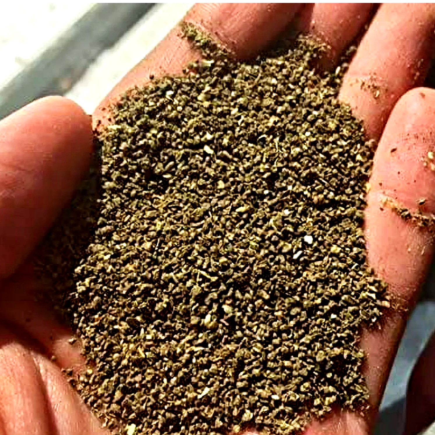 Coast of Maine Stonington Lobster & Kelp Plant Food Fertilizer 5-2-4 4lb -4 PACK
