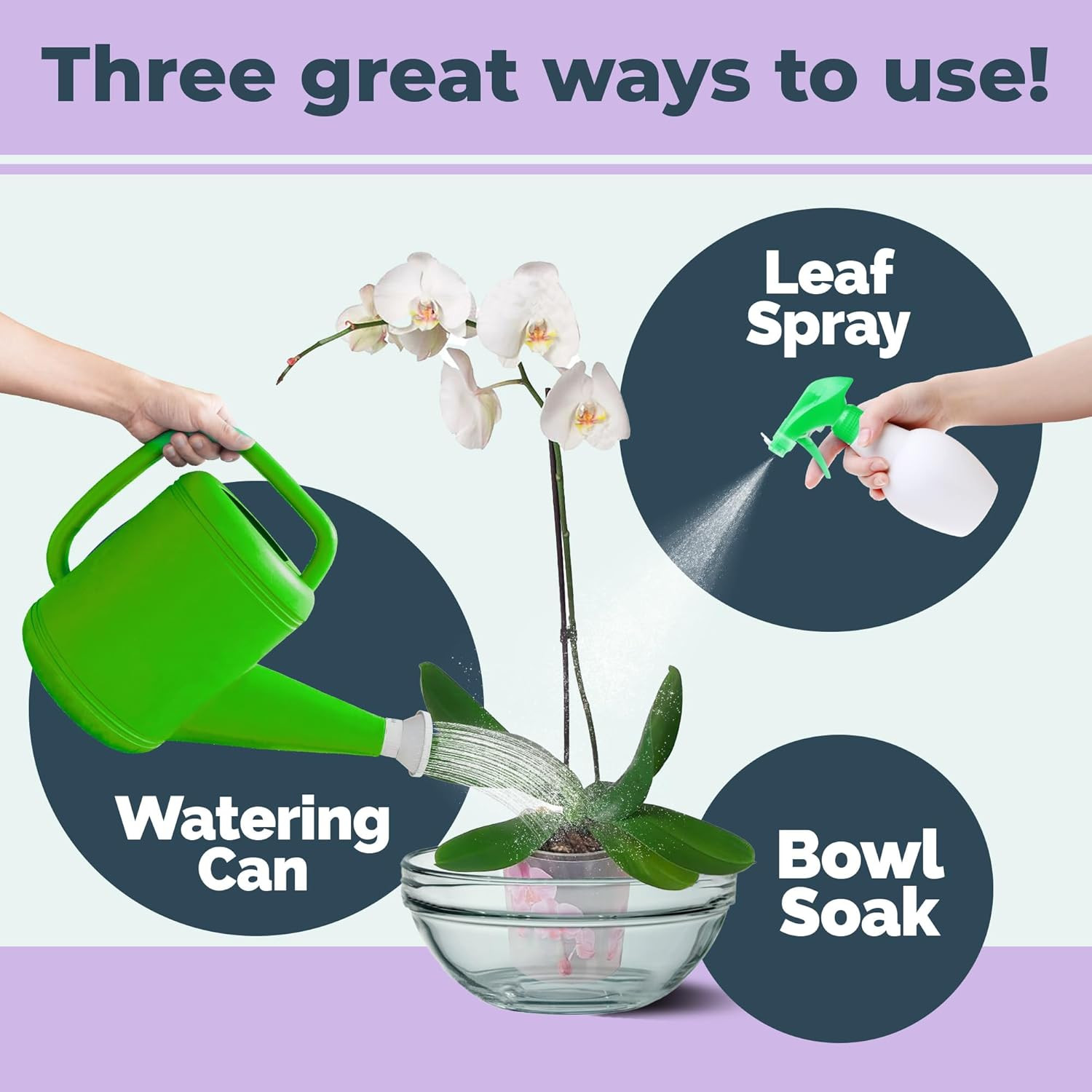 Orchid Plant Food – Liquid Fertilizer for Reblooming, Longer-Lasting Flowers & H