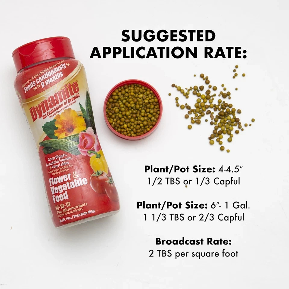 Dynamite 1 lb. All-Purpose Flower and Vegetables Plant Food