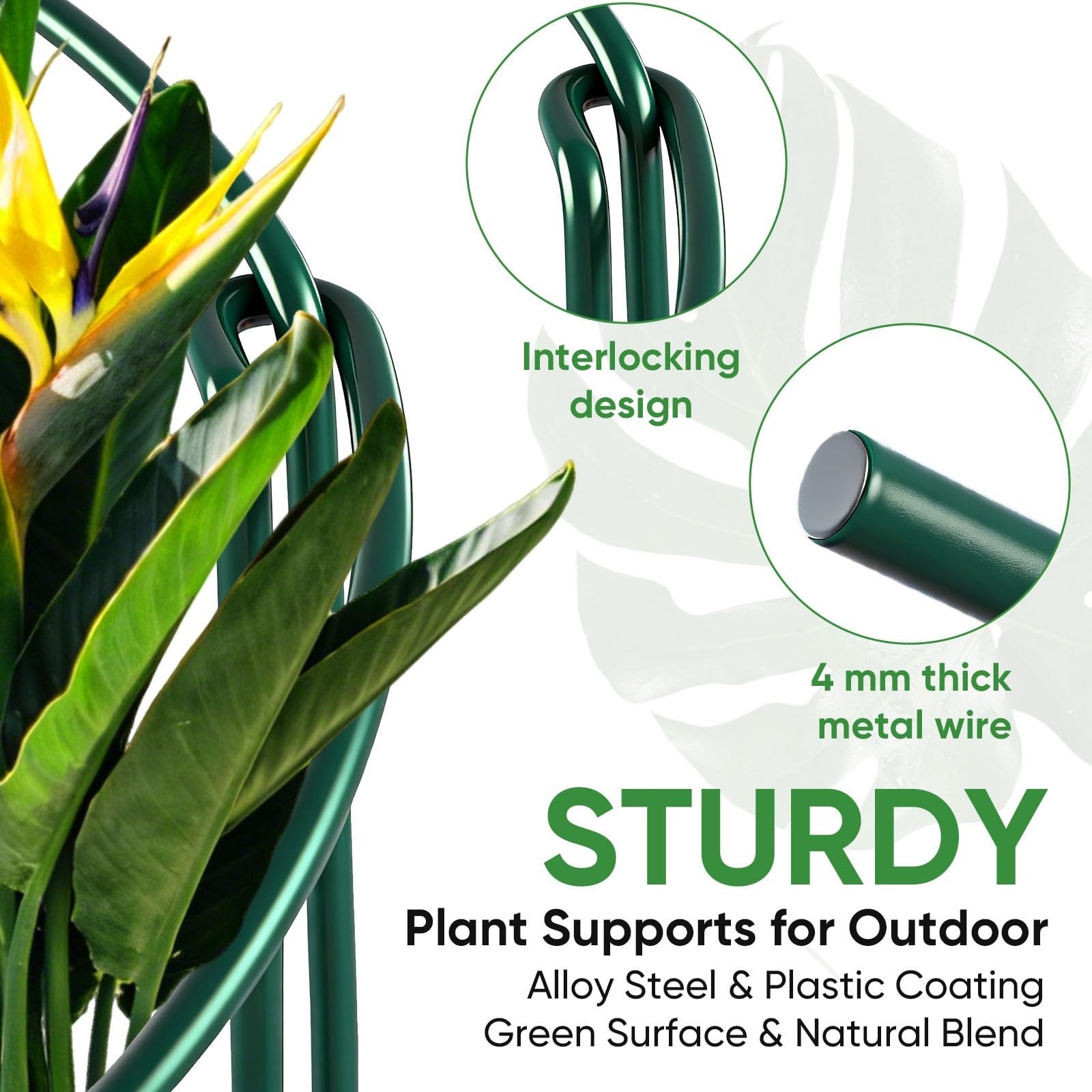 HiGift 10 Pack 24″ H x 10″ W Tall Plant Support Stakes, Half Round Metal Peon…