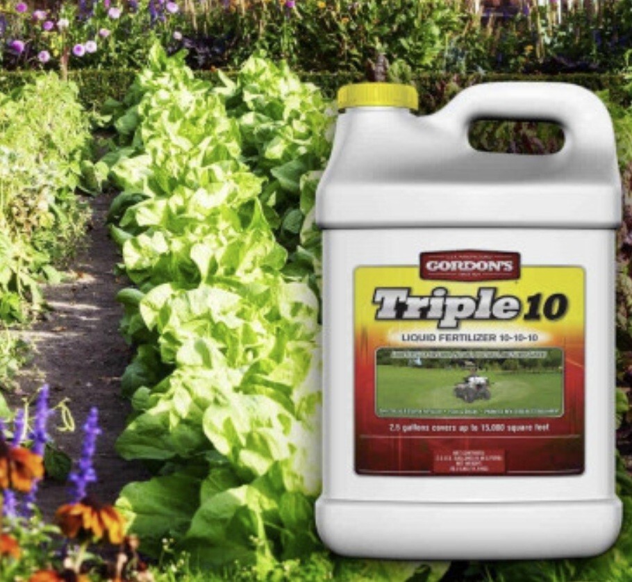 Gordon’s 7441-72 Triple10 Concentrated 10-10-10 Lawn Garden Fertilizer, 1 Gallon