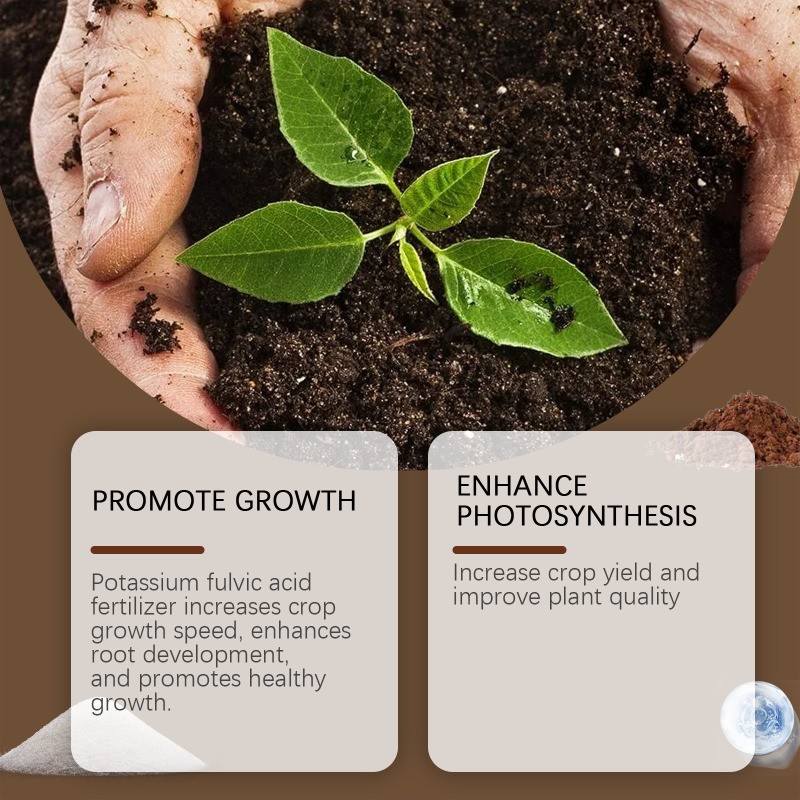 120g Soil Activator, Organic Soil Activator&Plant Fertilizer,Promote Rooting HOT