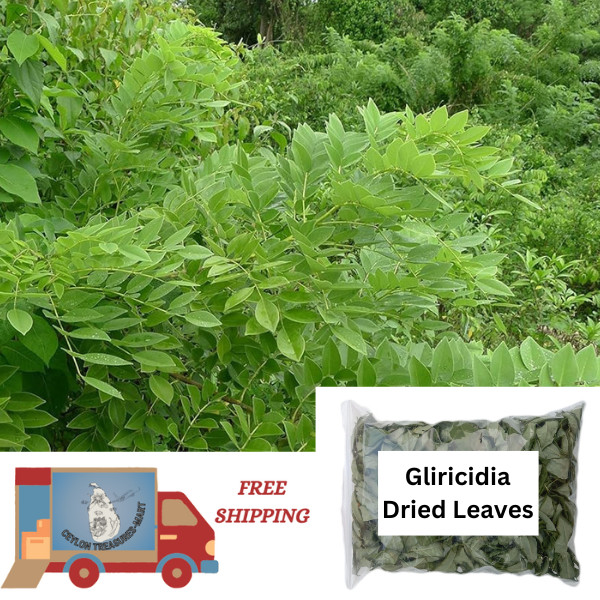 Gliricidia Sepium Leaves Dried Natural Organic Compost Fertilizer Nitrogen.