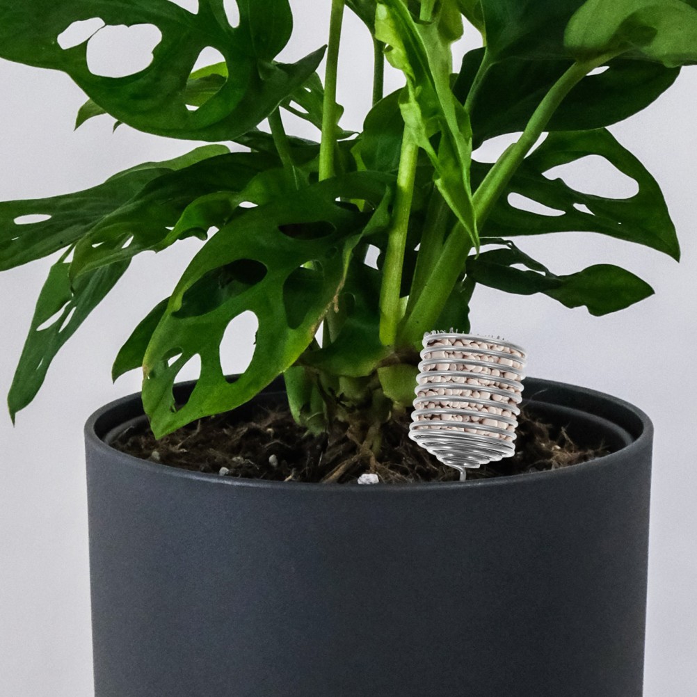 6Pcs Silver Stainless Steel Fertilizer Holder Boxes for Home Garden Plants