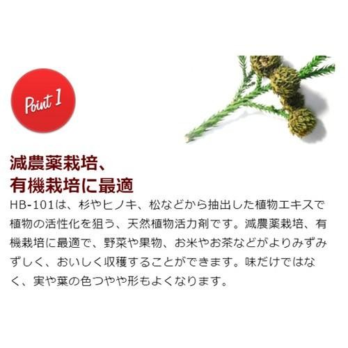 FLORA HB-101 All Purpose Natural Plant Vitalizer Granule 1kg/35.27oz Japan New