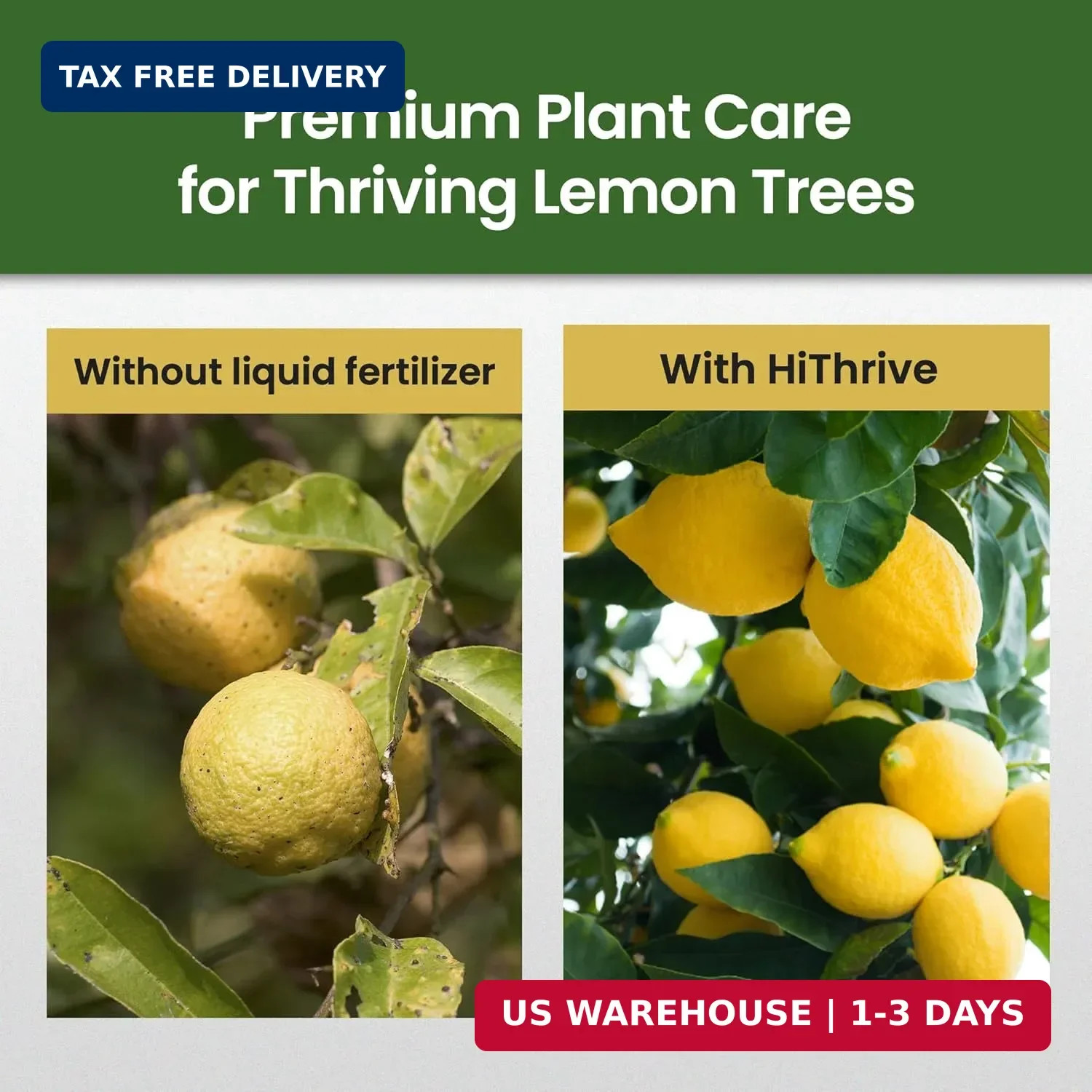 16oz Lemon Tree Fertilizer – Makes 16 Gallons of 2-in-1 Liquid Fertilizer, 4-3-6
