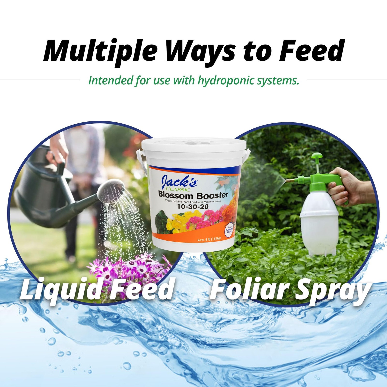 10-30-20 Blossom Booster Water-Soluble Fertilizer with Micronutrients for Inc…