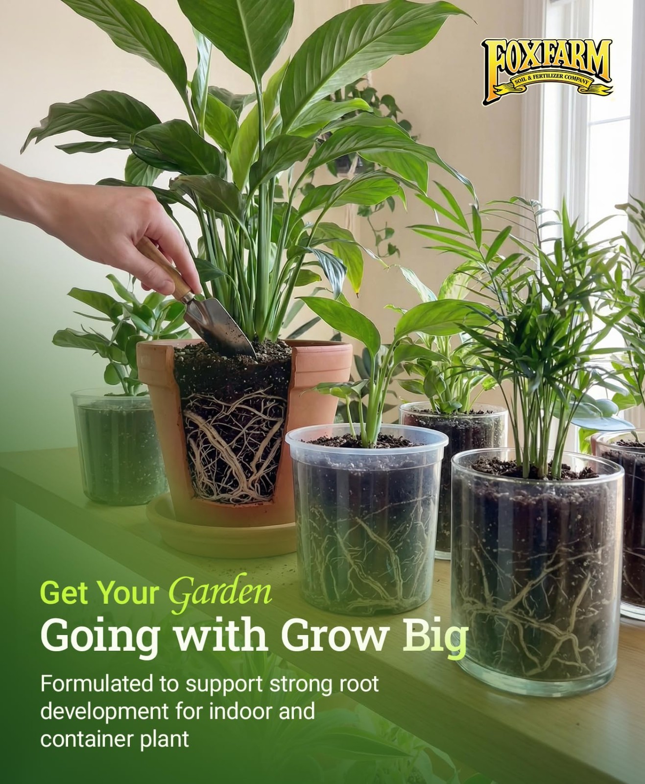 Liquid Plant Fertilizer 6-4-4 for Houseplants, Roses & Veggies – Quart Concentra