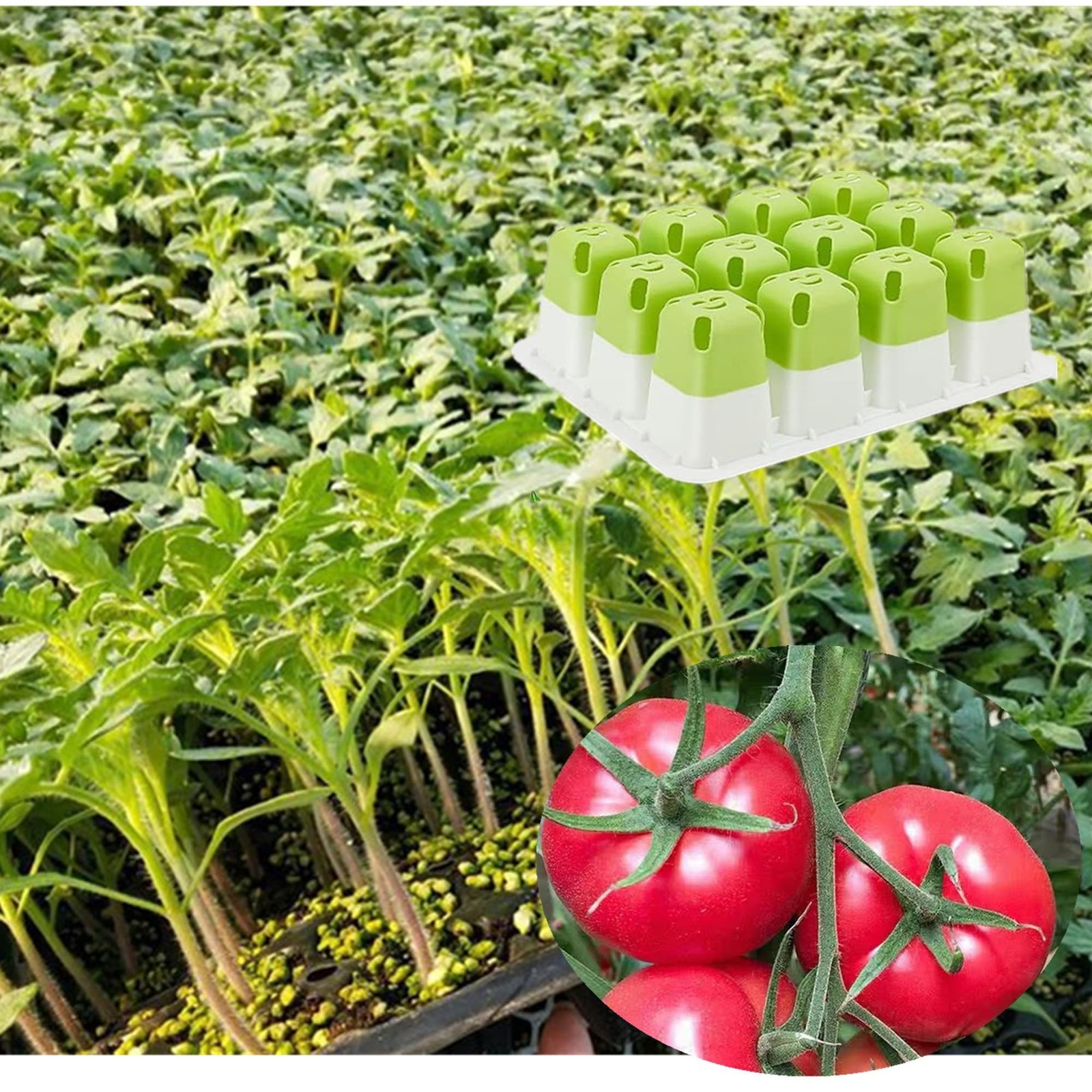 5pcs Seed Starter Tray, Silicone Seeding Starter with Pop-Out Cells (60 Cells…