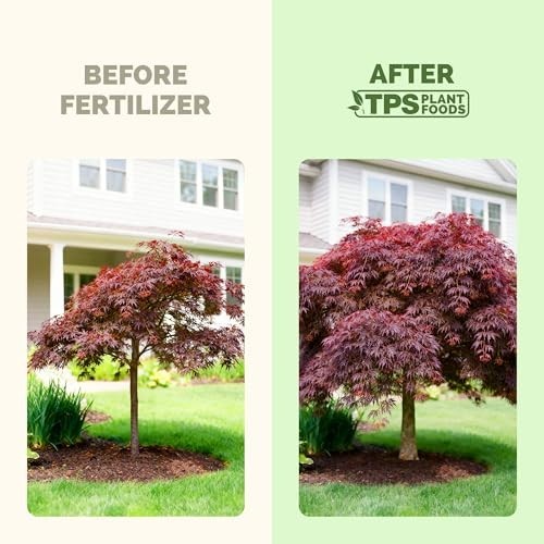 Liquid Fertilizer for Japanese Maple – Vibrant Color, Strong Roots, 1 Gallon