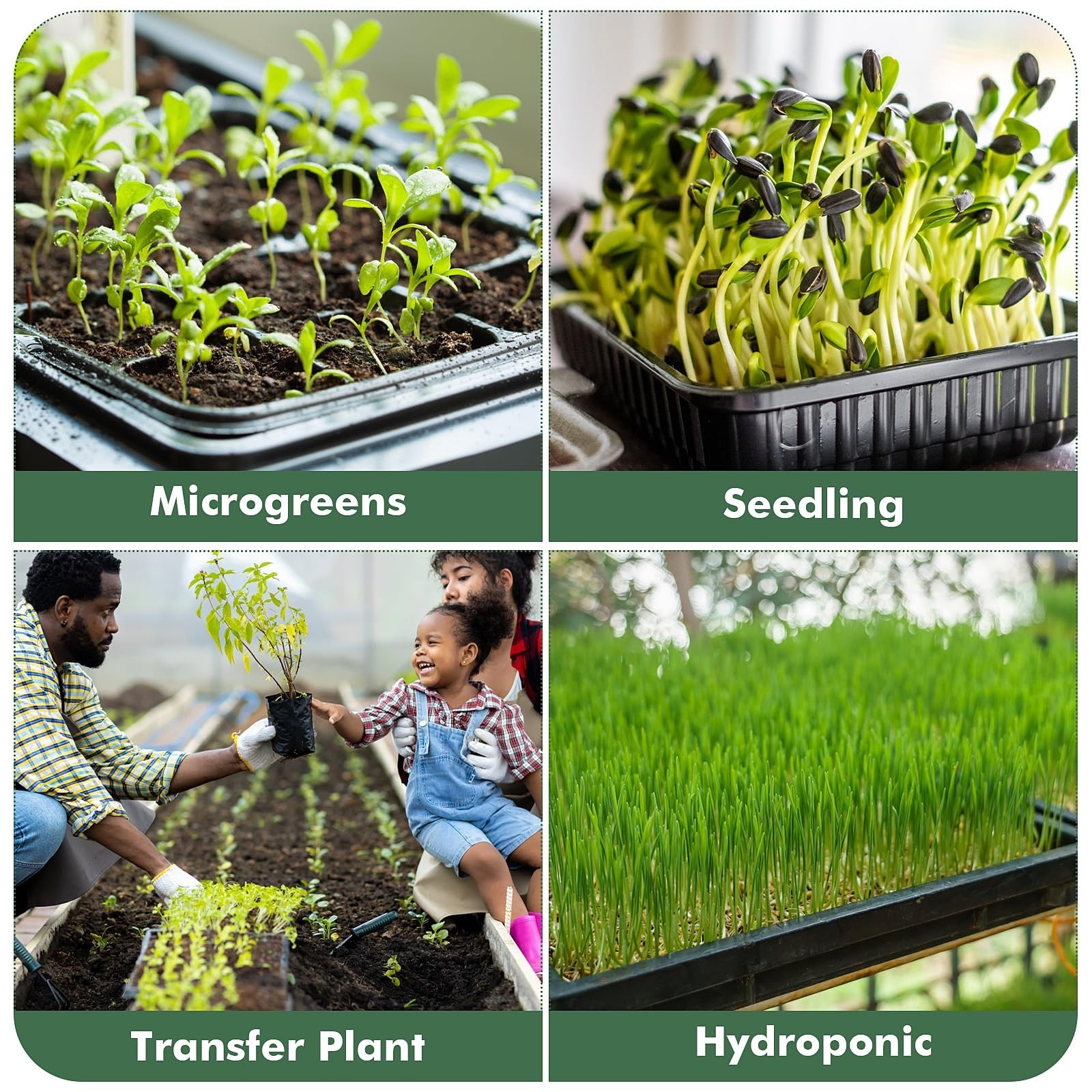 Sckee Upgraded 10 Pack Plant Growing Trays Seed Starting Tray Microgreens Gro…