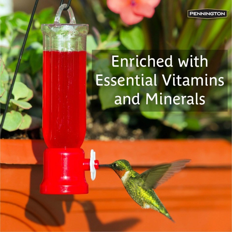 Pennington Ready-to-Use Ultra Hummingbird Nectar Food, No Artificial Dye, 1 Pack