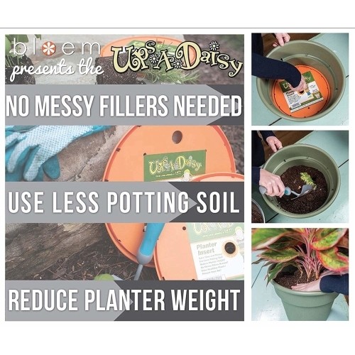Bloem Living T6327 Up’s a Daisy Planter Insert, 17-Inch, Orange