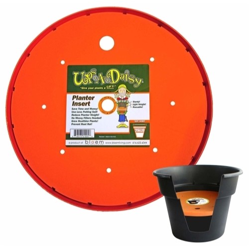 Bloem T6326 Ups-A-Daisy Planter Insert, 16-In.