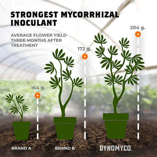 DYNOMYCO PURE MYCORRHIZAL INOCULANT ORGANIC ROOT ENHANCER