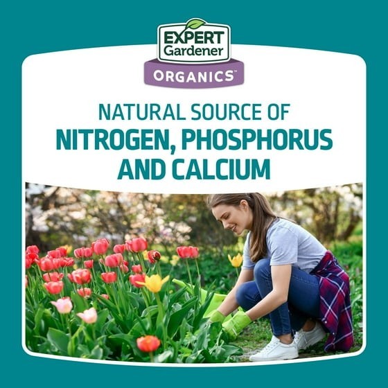 Expert Gardener Bone Meal Plant Food, 3-15-0 Fertilizer, 4 lb.
