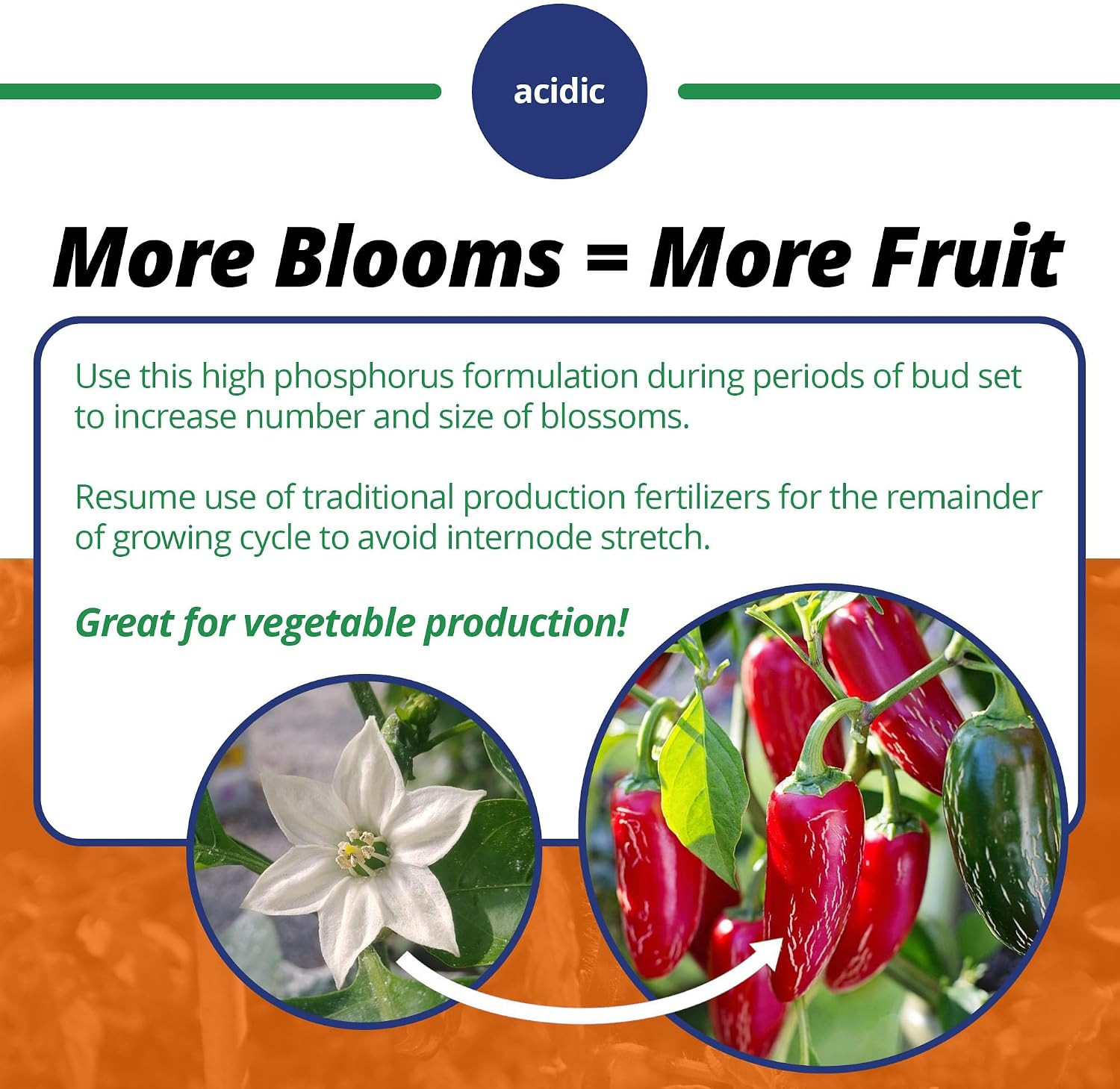 10-30-20 Blossom Booster Water-Soluble Fertilizer with Micronutrients for Increa
