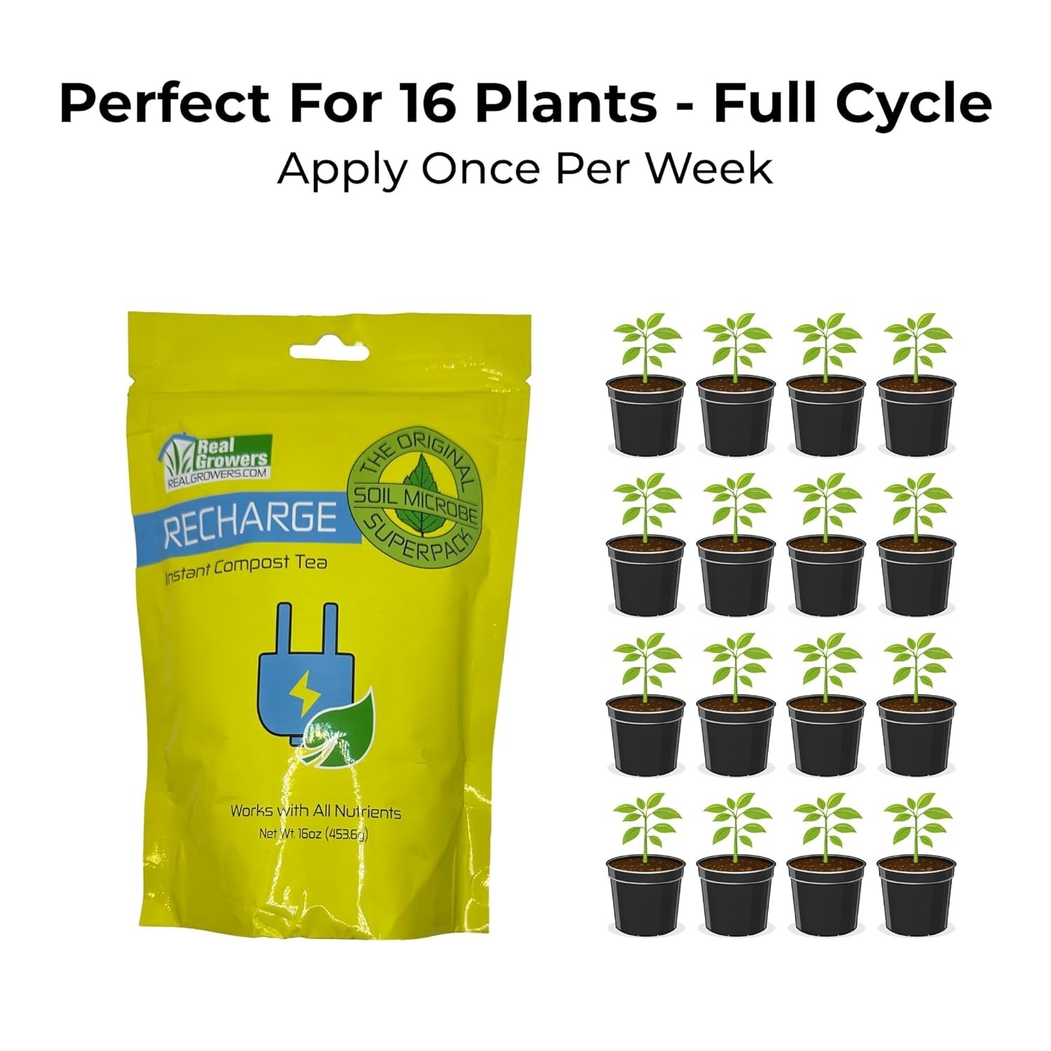 Recharge 16oz Mycorrhizae Compost Tea for Explosive Root Growth & Nutrient Boost