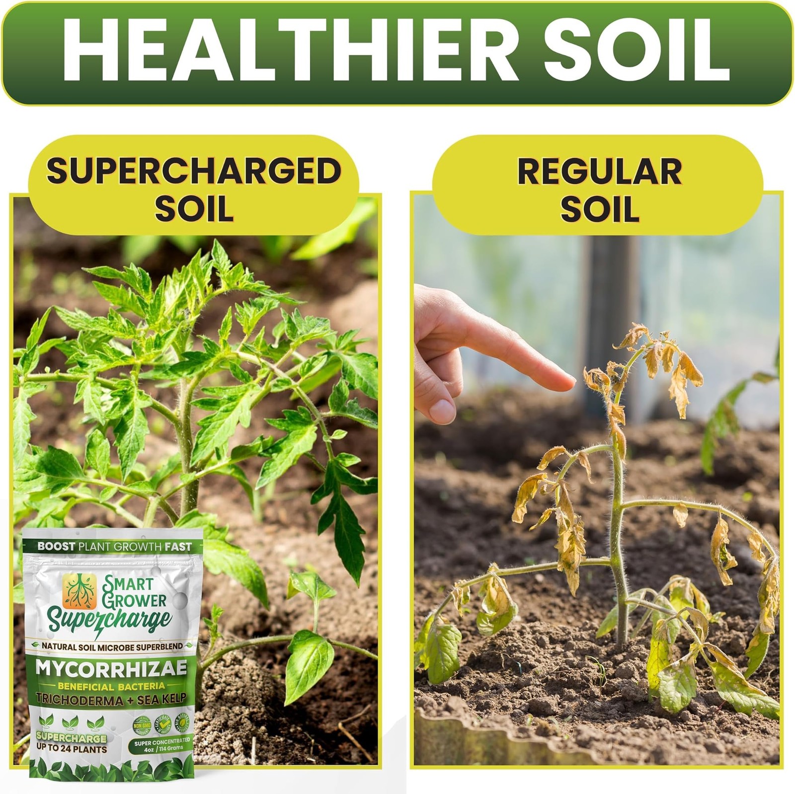 Mycorrhizal Fungi with Beneficial Bacteria, Trichoderma, Sea Kelp, Molasses, …