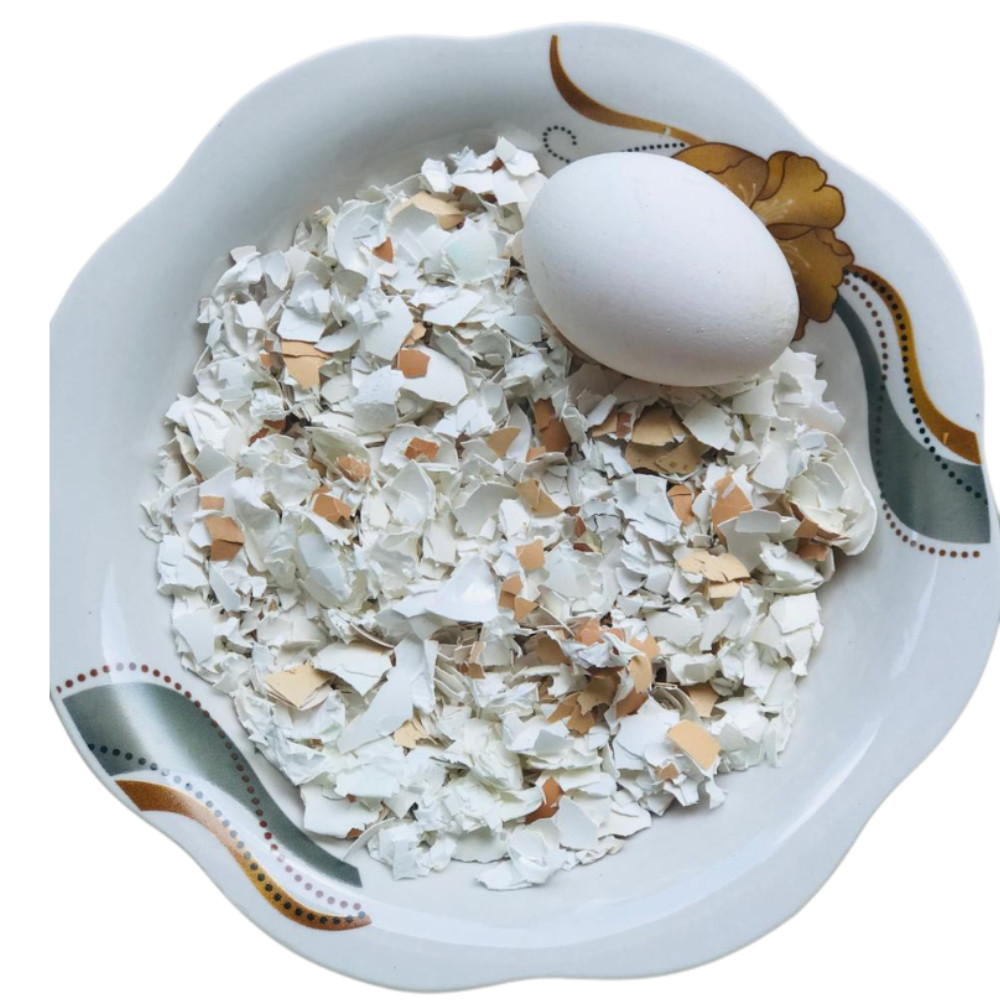 Egg Shell Organic Ceylon Crushed 100g fertilizer Whitener Home Made Calcium