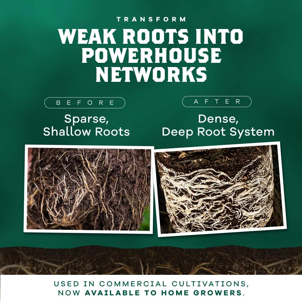 Granular Mycorrhizal Fungi Inoculant, 50g / 1.76oz – Boosts Root Growth