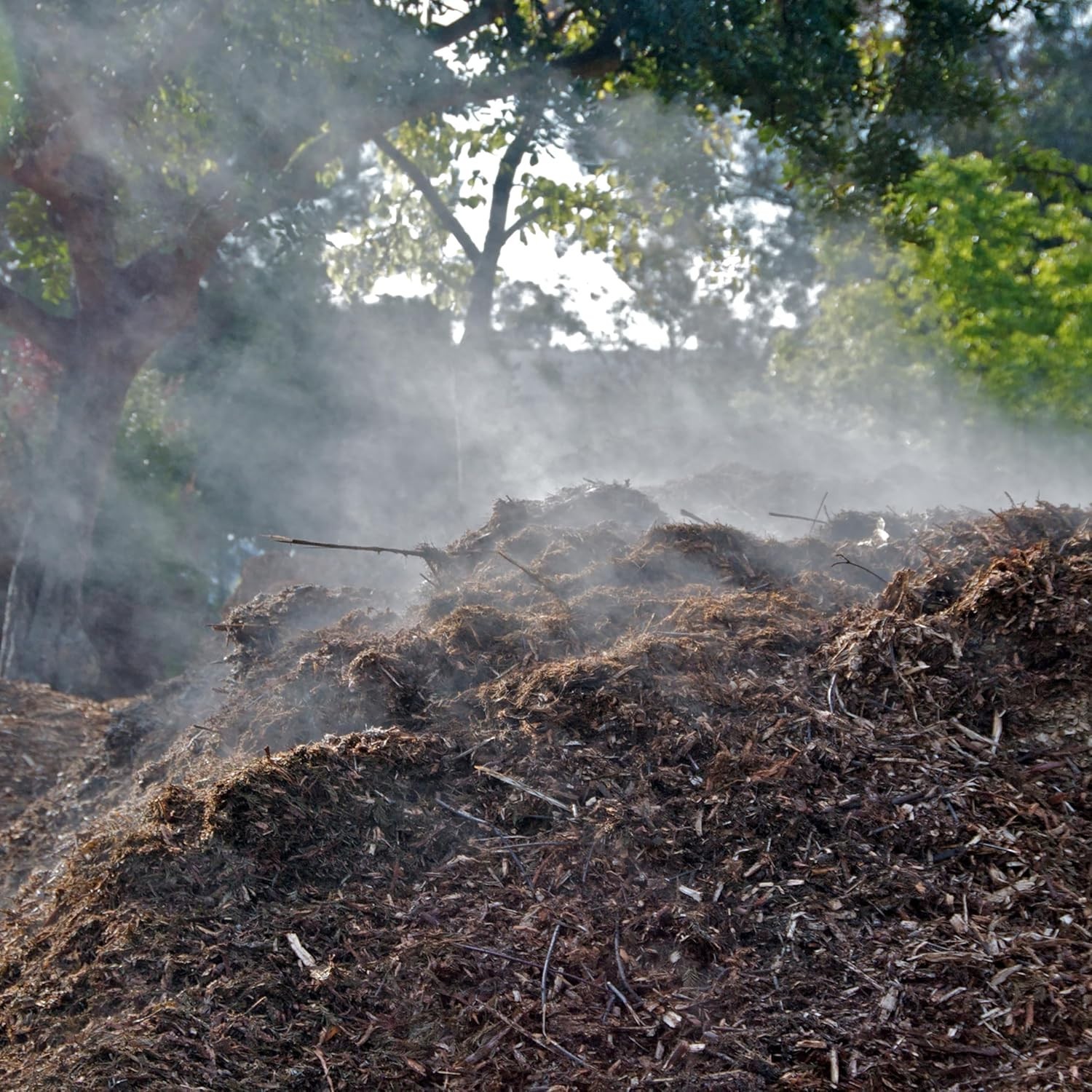Jobe’s 4 lbs Compost Accelerator – OMRI Listed Granules for Healthy Plant Growth