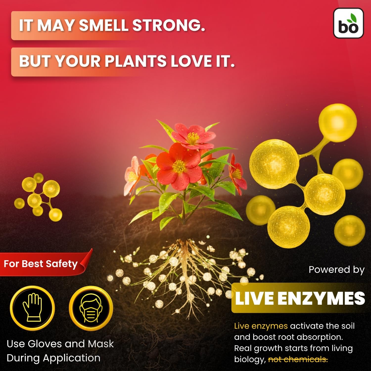 Biogrowth Vivid Enzyme Organic Plant Food – Fertilizer for Flowers and Lawns