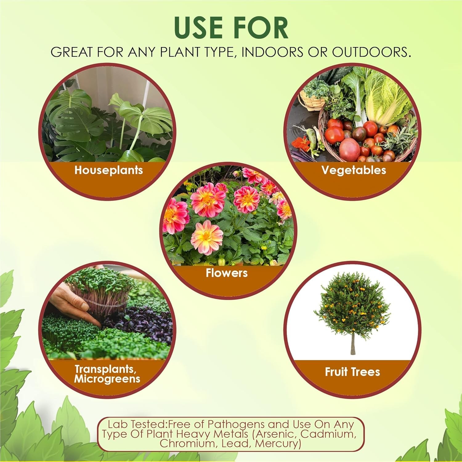 5 LB All-Natural Earthworm Castings – Boost Growth for Indoor & Outdoor Plants