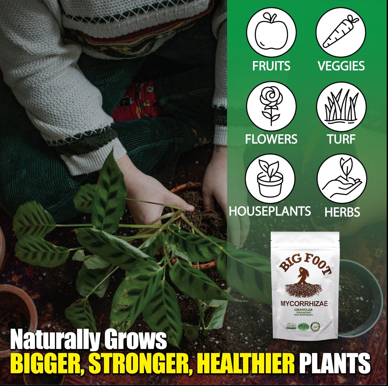 Big Foot Mycorrhizae – Double Your Plant Size – Easy to Use – Made in USA –