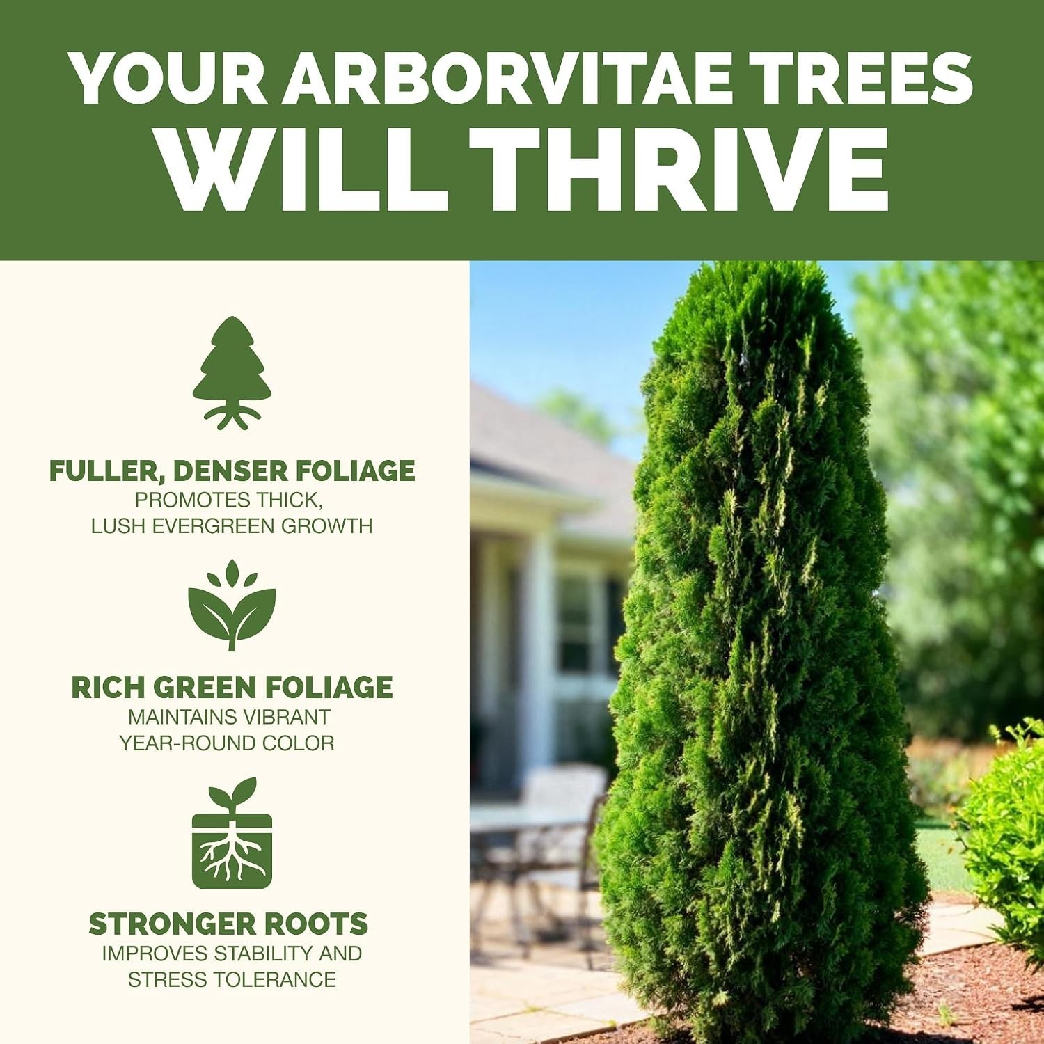 32 oz Arborvitae Tree Fertilizer – Fast-Absorbing Liquid Plant Food for Healt…