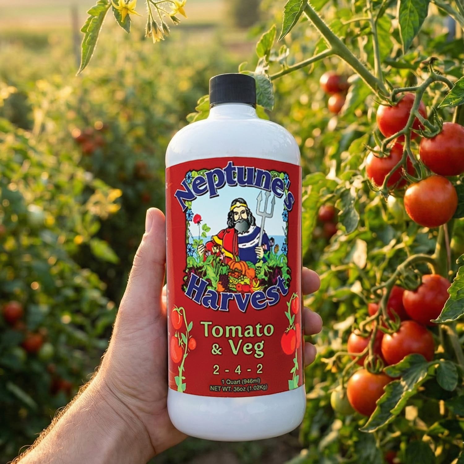 Organic Tomato & Veg Fertilizer – Liquid Plant Food 36oz