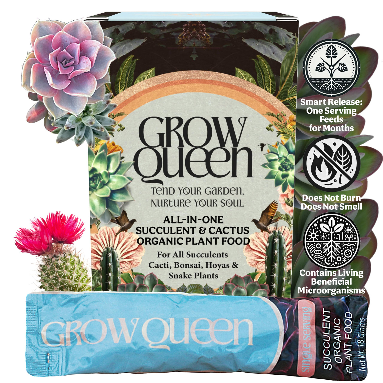 Complete Organic Cactus & Succulent Fertilizer, Succulent Plant Food & Cactus…