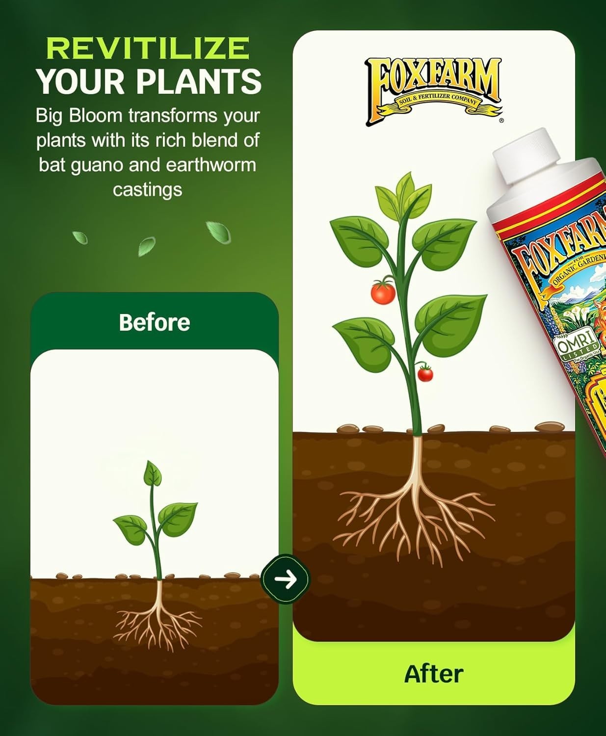 All-Natural Big Bloom Plant Food Concentrate – 16oz for Flowers & Herbs Growth
