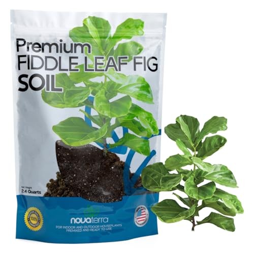 Fiddle Leaf fig Soil Plant Food – fig Trees – Live Plants