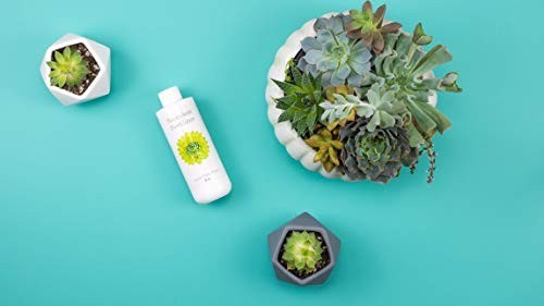 Succulent Fertilizer Liquid Plant Food 8 oz 3-1-2 NPK for Cactus Echeveria Aloe