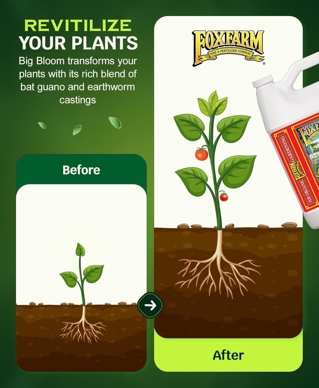 Versatile Big Bloom 1 Gallon Fertilizer for Flowers & Vegetables – Easy to Use