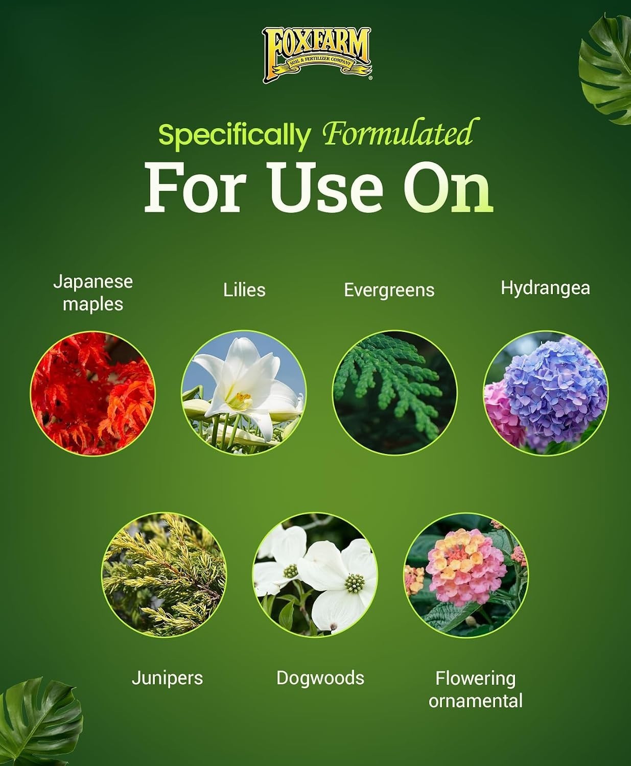 Happy Frog Japanese Maple Fertilizer – Supports Vegetative Growth & Strong Br…