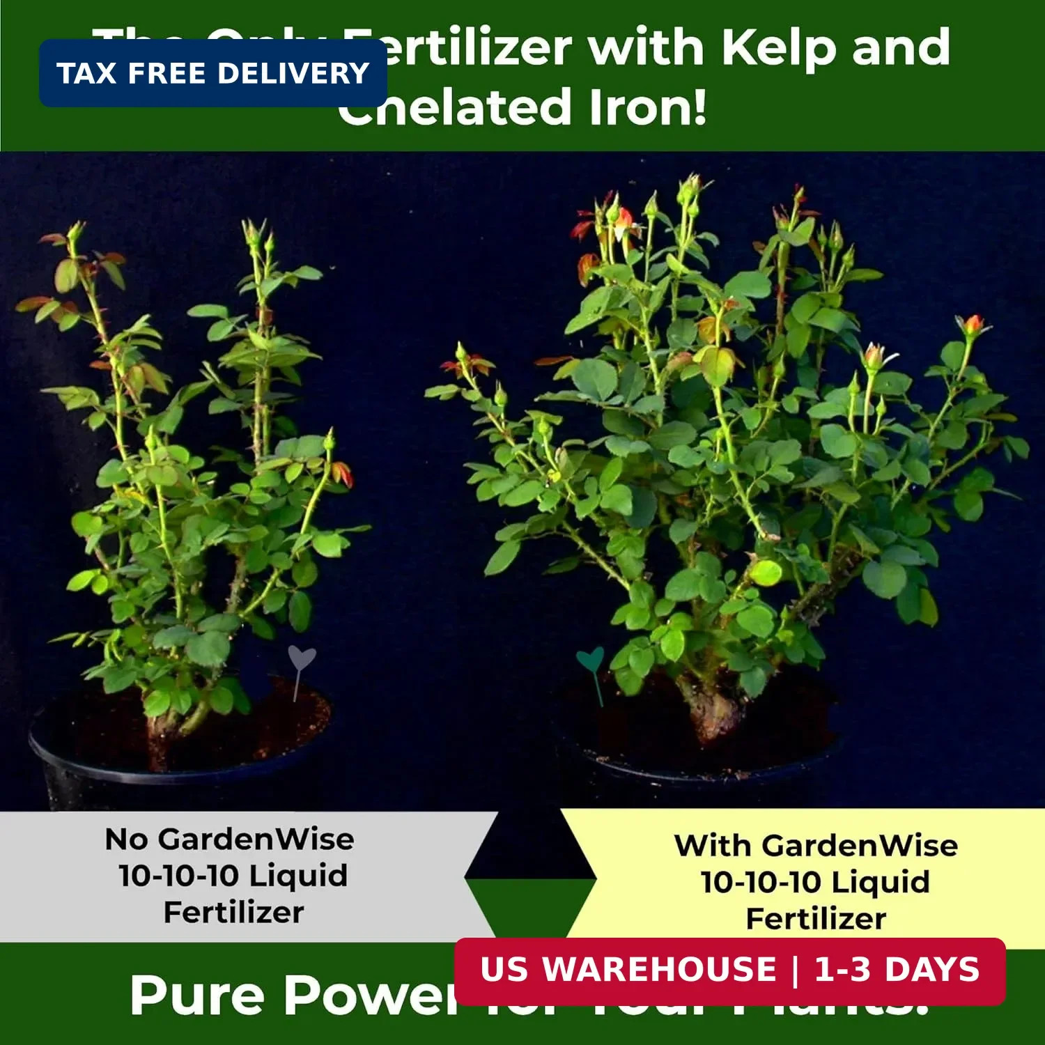 GARDENWISE 10-10-10 All Purpose Plant Food – Liquid Fertilizer with Seaweed Kelp