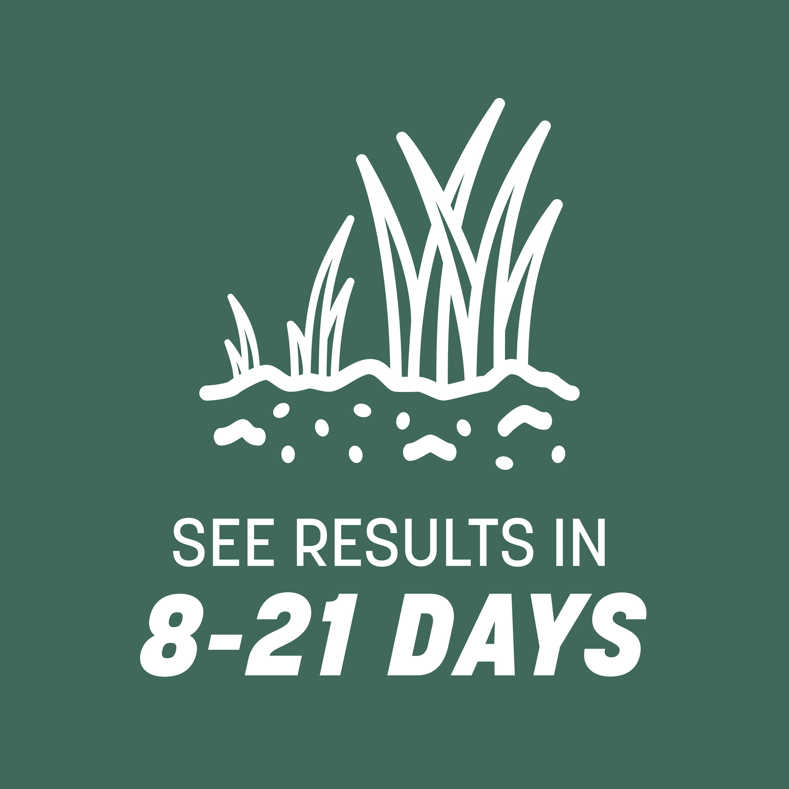 31 Tall Fescue Grass Seed for Sun to Partial Shade 20 lb Covers 4,000 sq. ft.