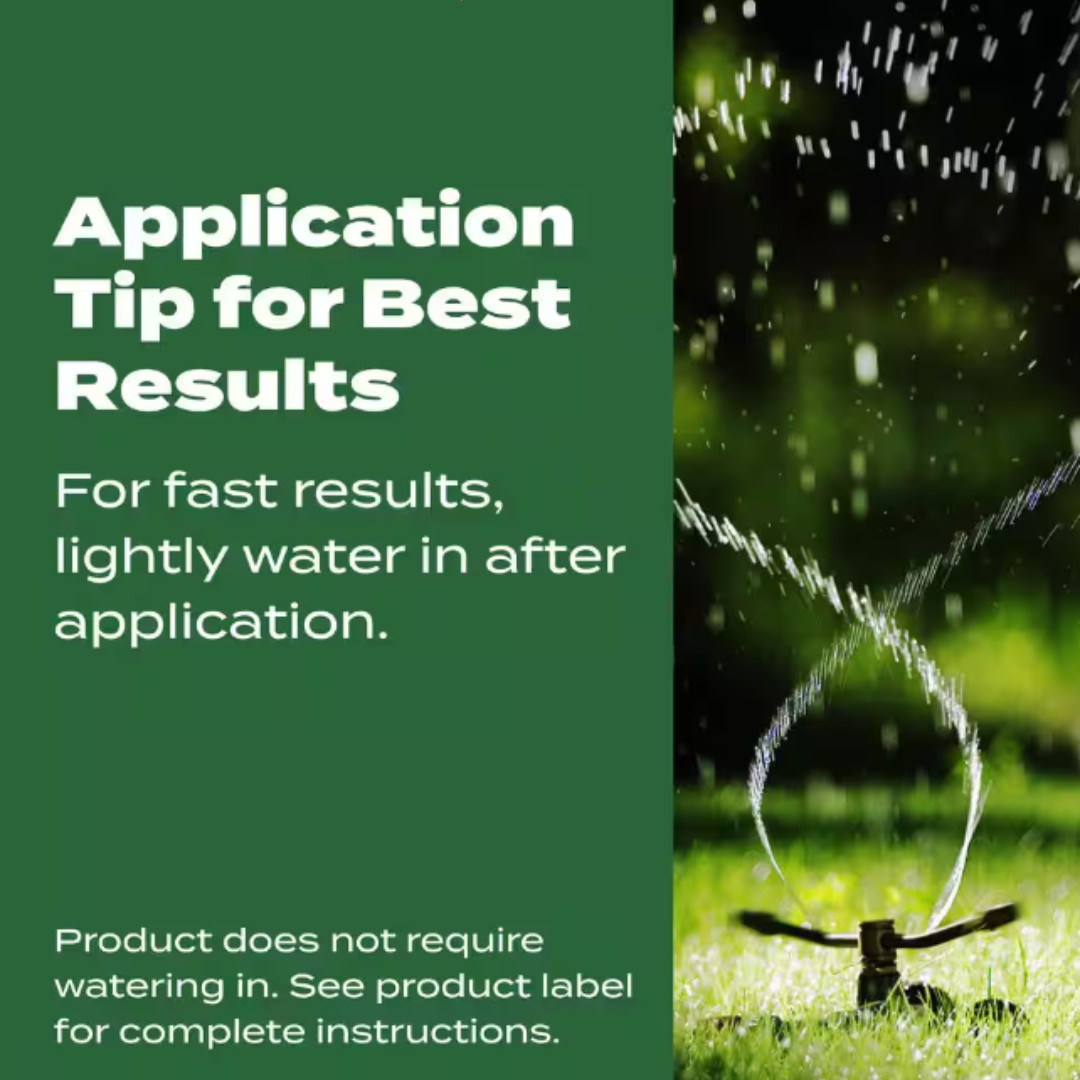 Turf Builder 37.5 lbs. 15,000 sq. ft. Dry Lawn Fertilizer for All Grass Types