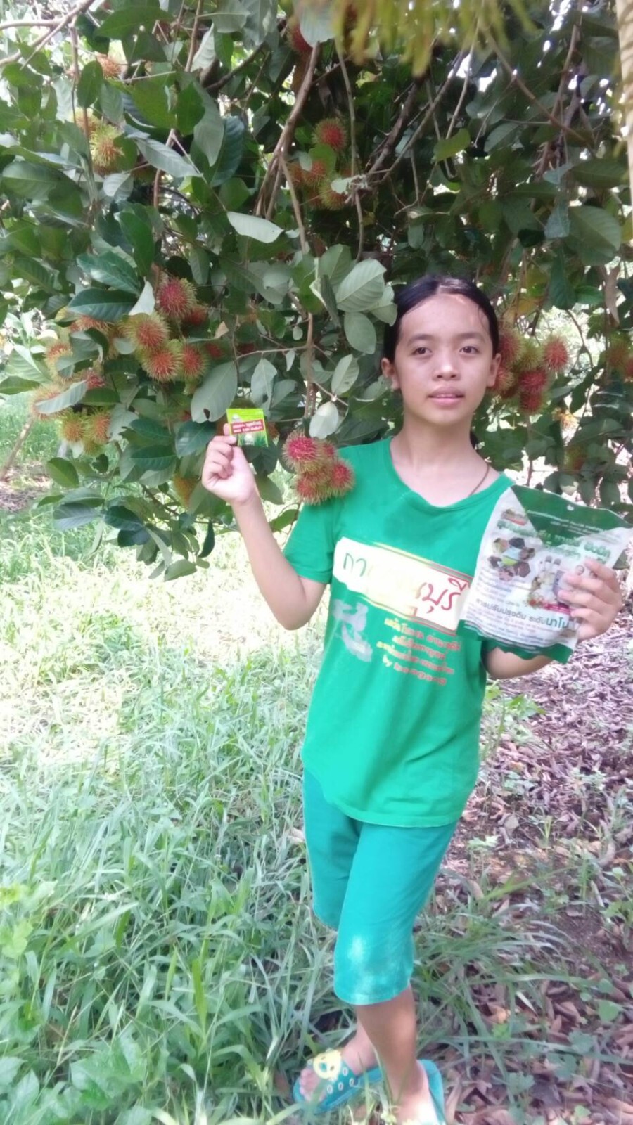 1 sachet 1 gram Fertilizer Powder for Soil Conditioning Khun-Khiao Brand