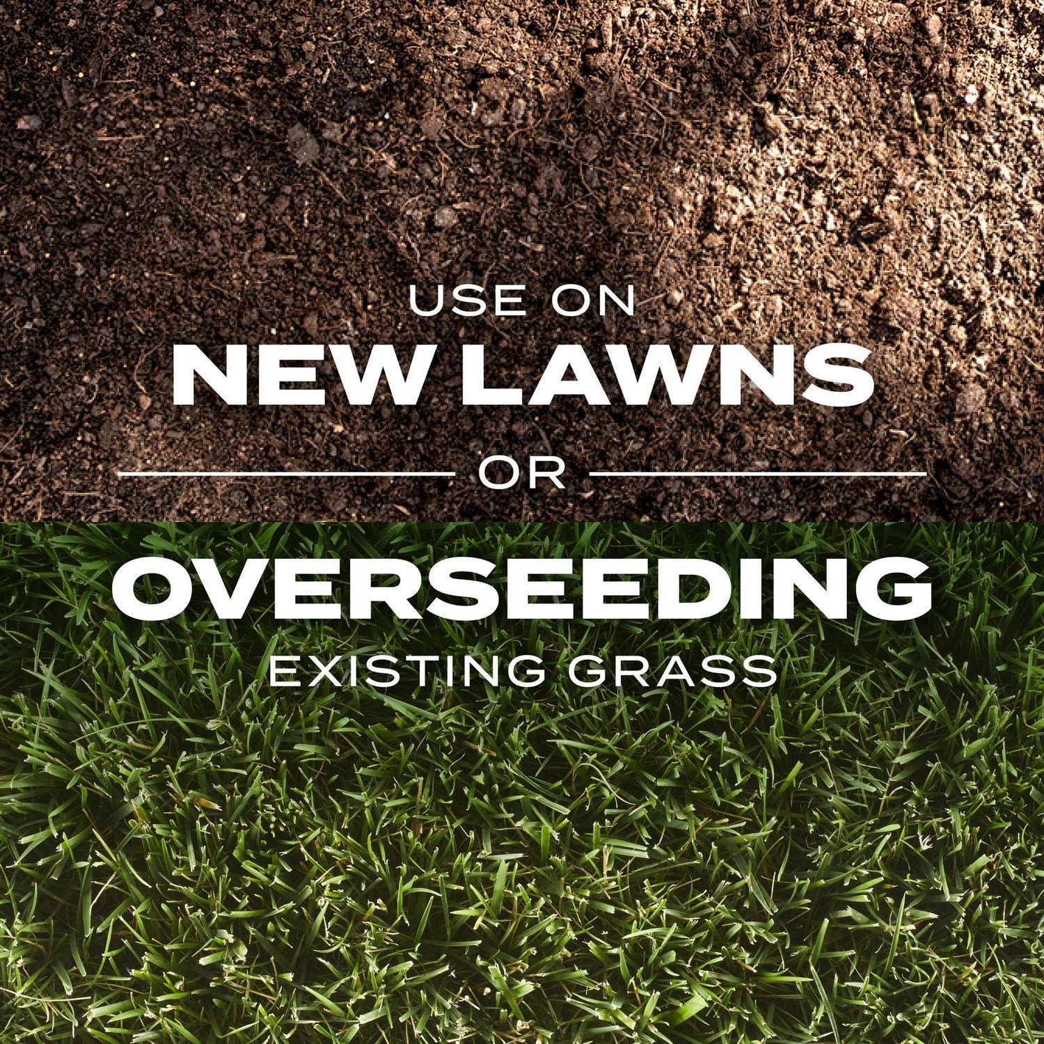 Rapid Grass Tall Fescue Seed & Fertilizer Mix – Quick-Growing Lawn Seed, 16 lbs.