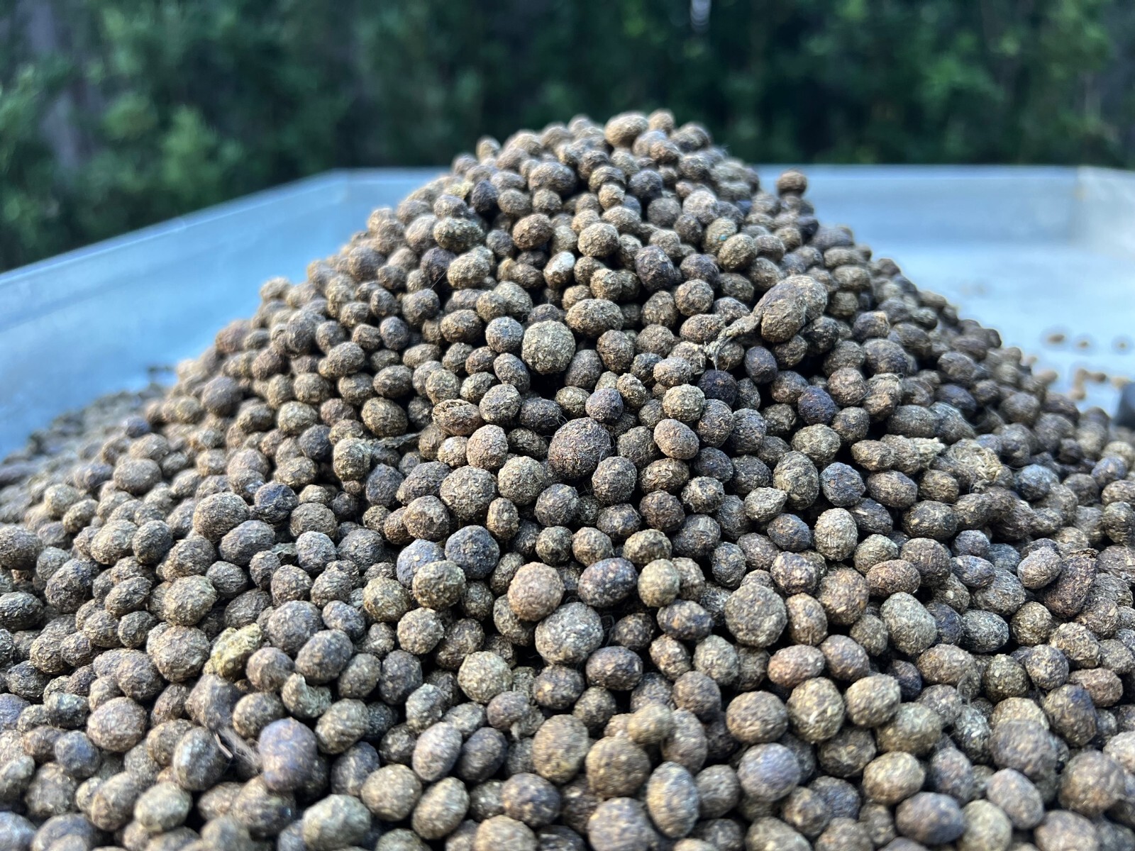 Organic Bunny Rabbit Manure- 2 Pound Bag- Clean Without Hay, Pellets or Food
