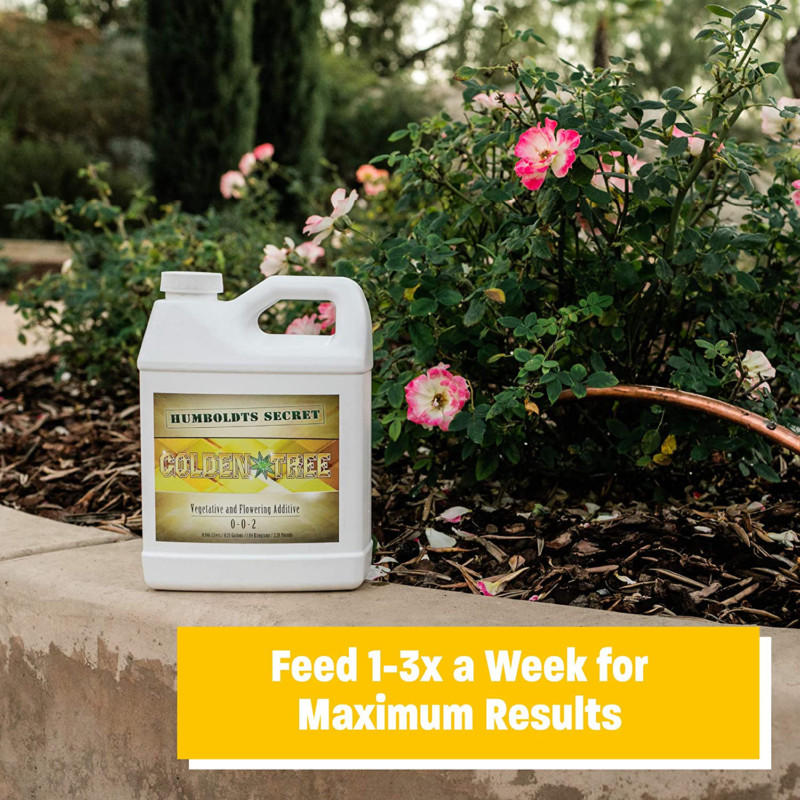 Golden Tree: Best Plant Food For Plants Trees – Yield Increaser – Plant Rescue